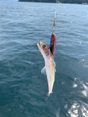 南あわじ盛漁丸さんにてジギング