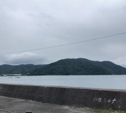 はとう渡船で沖筏