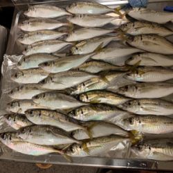 意外とクオリティが高い場所?!