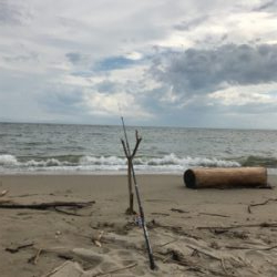 キス釣りたいのに‼️