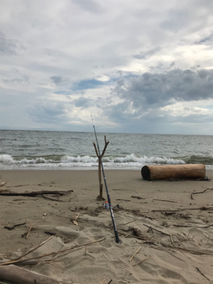 キス釣りたいのに‼️