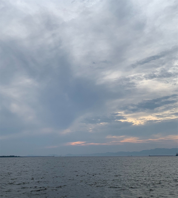 タコ復活してるか?