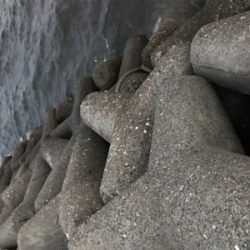 久しぶりに夜釣り