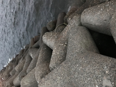 久しぶりに夜釣り