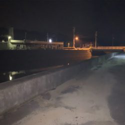 ナイトチニング