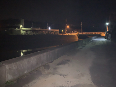 ナイトチニング