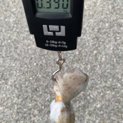 昨日よりマシかな?