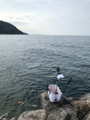 笠戸島グレ釣り第2弾