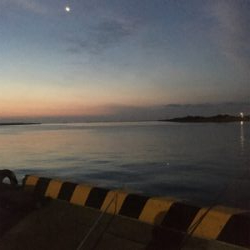 ウキ釣りでタチウオ