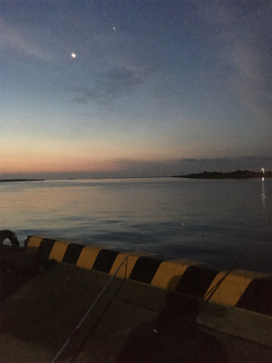 ウキ釣りでタチウオ