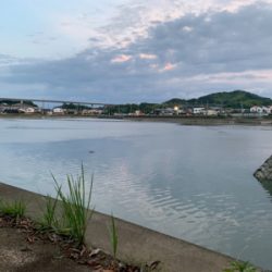 夕マズメチニング