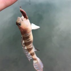 キスを求めて①