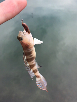 キスを求めて①