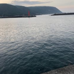 ショアジギング  ＆　ライトゲーム