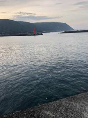 ショアジギング  ＆　ライトゲーム