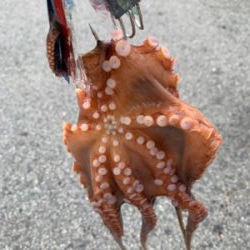 場所変更で正解!