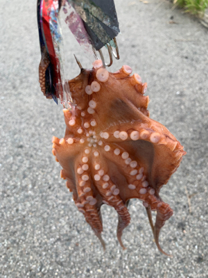 場所変更で正解!