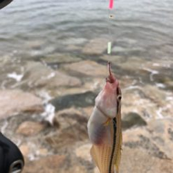 嫁さんとキス釣り