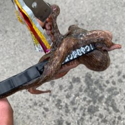 朝一、昨日の所へ！