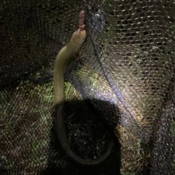 大雨注意でのぶっ込み釣り