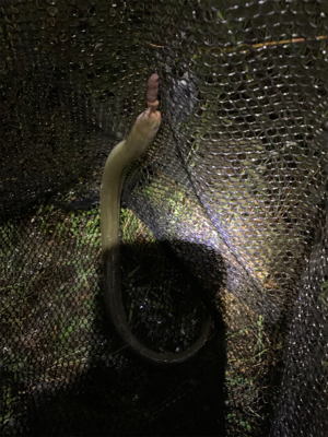 大雨注意でのぶっ込み釣り