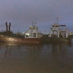 夏 ヒイカ調査(^.^)