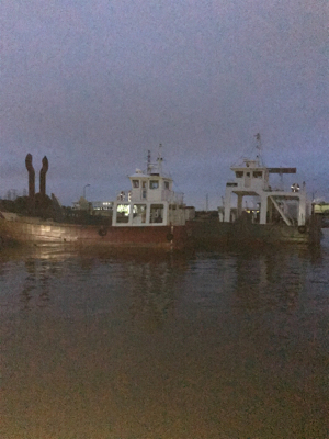 夏 ヒイカ調査(^.^)