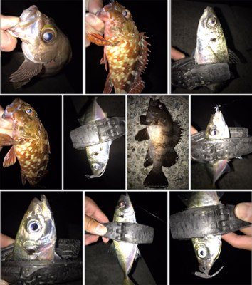 2020ライトゲーム第22戦