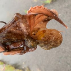 ポイント大移動！