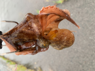 ポイント大移動！