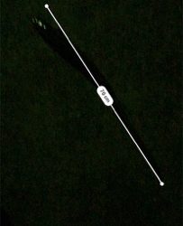 まさかまさかの化けアナゴ