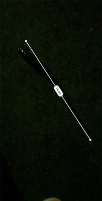 まさかまさかの化けアナゴ