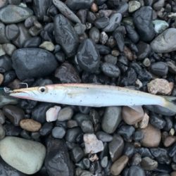 サイズがいまいち>_<