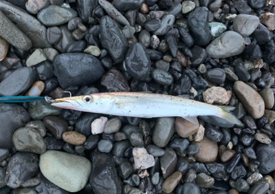 サイズがいまいち>_<