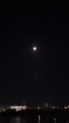 アジングナイト☽