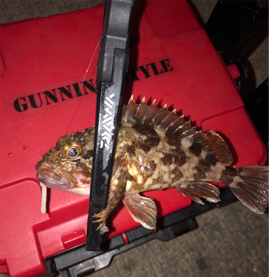 ナイトアジングゲームへ☆GUNNING-S…