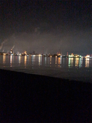 ケンサキイカ調査(^.^)