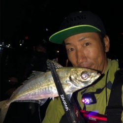 早朝アジング♪回遊あったよ！GUNNING-STYLE