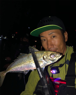 早朝アジング♪回遊あったよ！GUNNING-STYLE