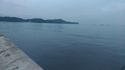 7/5釣果○尺アジ釣れだしました！チヌツバスグレガシラボラ