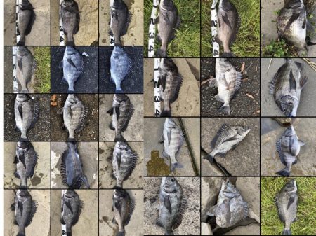 イチノ兄弟、釣果!