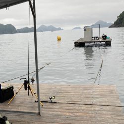 アジングで初釣果