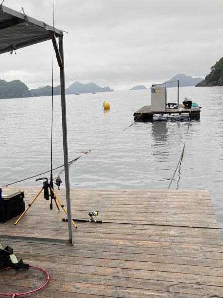 アジングで初釣果