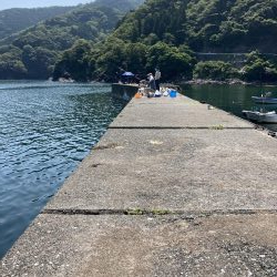 アオリの名残り