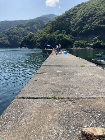 アオリの名残り