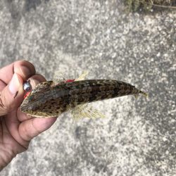 ひっさしぶりー!