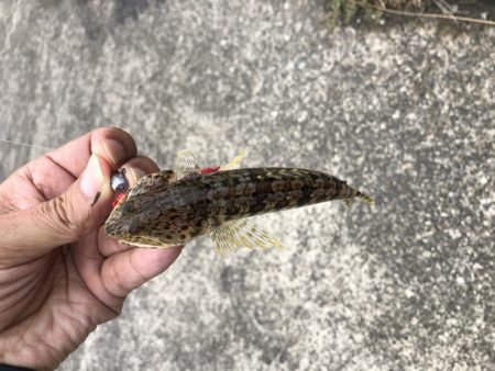 ひっさしぶりー!