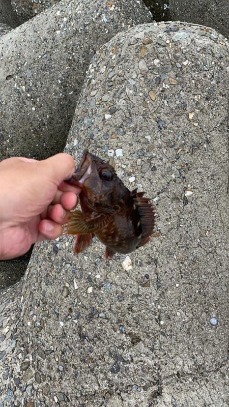 貝塚人工島の穴釣り