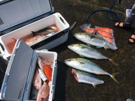 浅川沖でブリ祭り