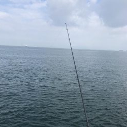 夜釣りからの朝マズメ